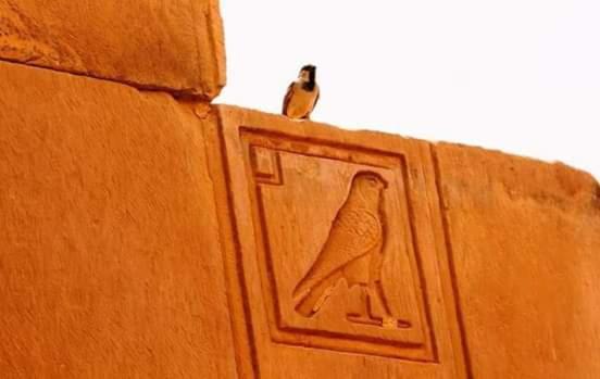 King Nubian Guest House Aswan Exterior photo